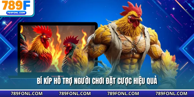 Bí kíp hỗ trợ người chơi đặt cược hiệu quả