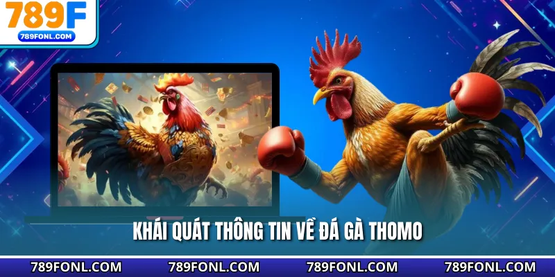 Khái quát thông tin về đá gà Thomo