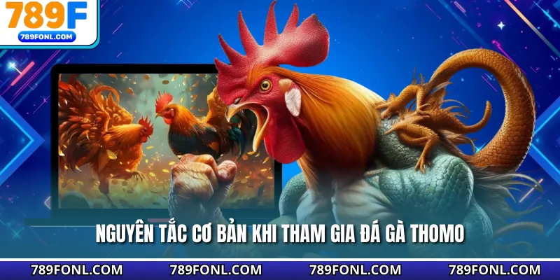 Nguyên tắc cơ bản khi tham gia đá gà Thomo